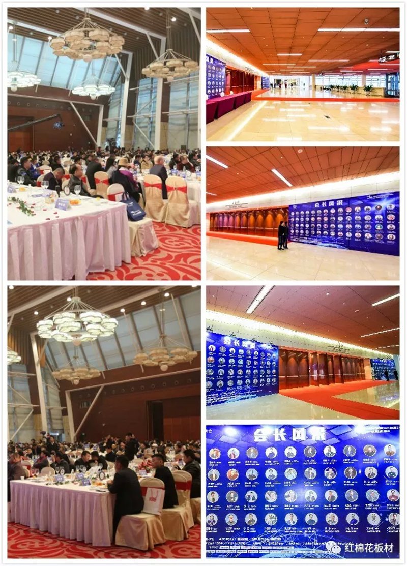 1556608411380099.jpg 8.jpg