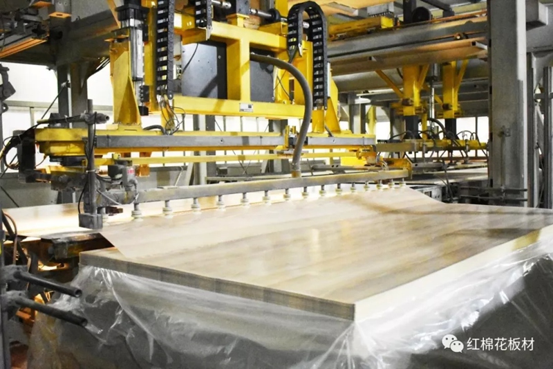 1556609275486732.jpg 5.jpg