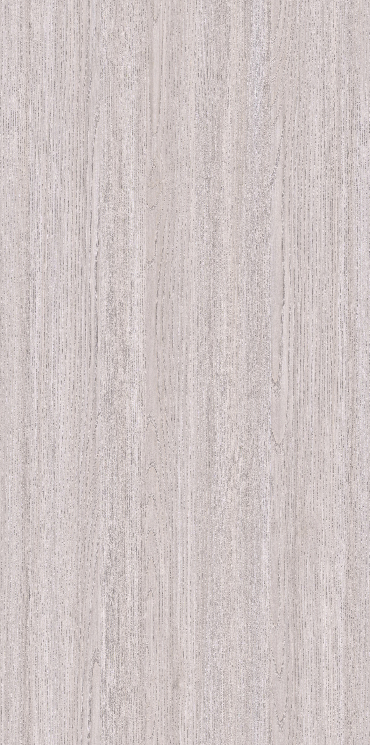 YDHTB1131 克里特橄榄木