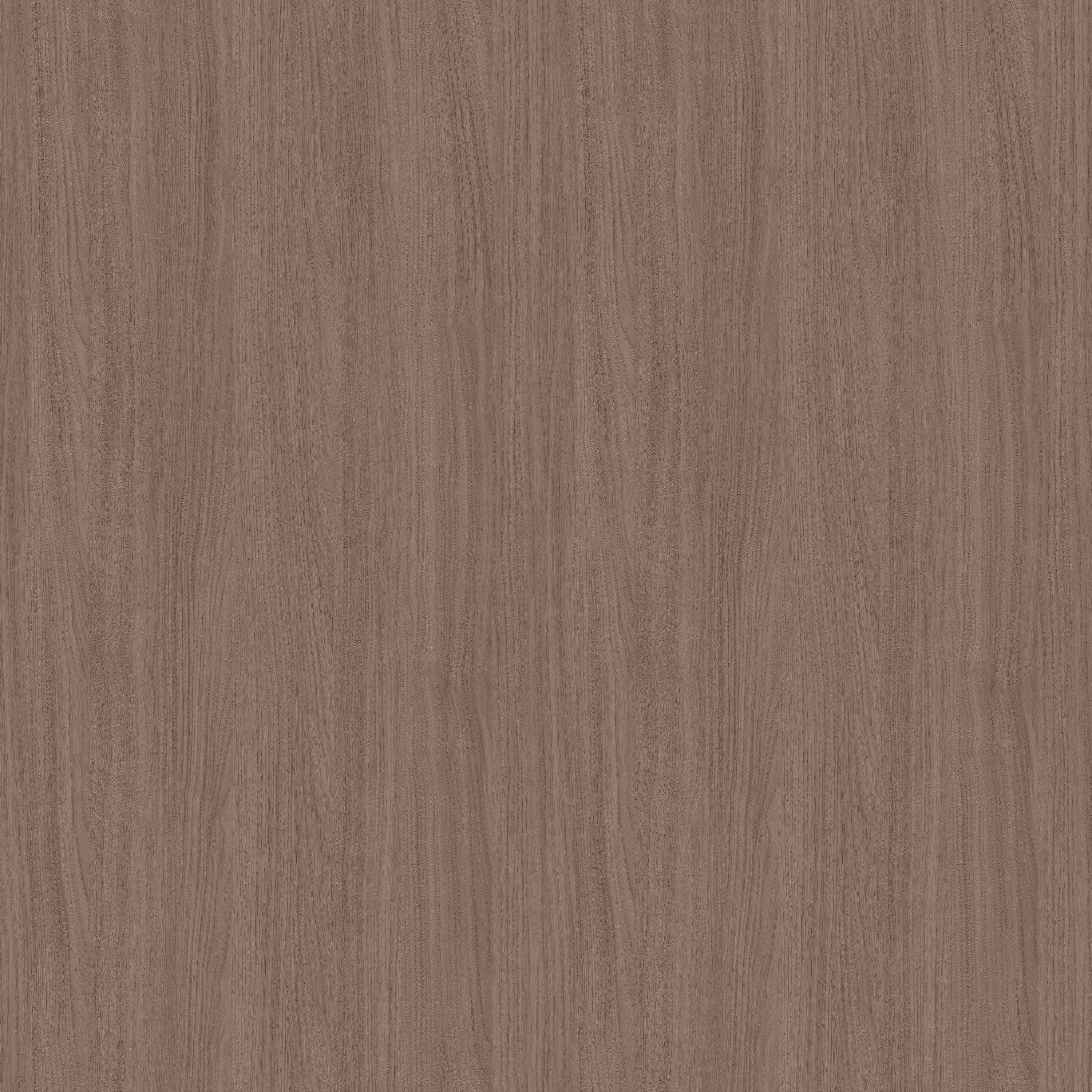 YDH562  普达措胡桃